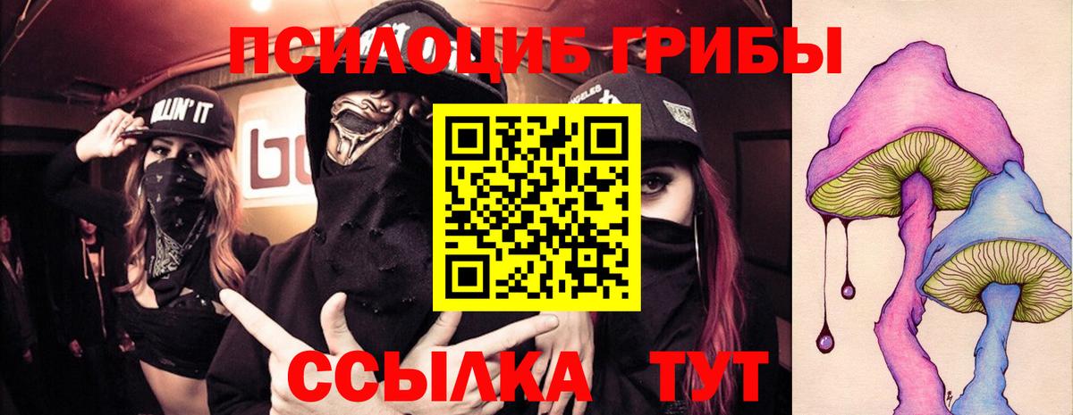 Псилоцибиновые грибы GOLDEN TEACHER Алатырь